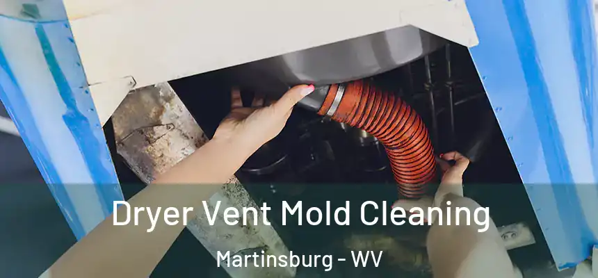  Dryer Vent Mold Cleaning Martinsburg - WV