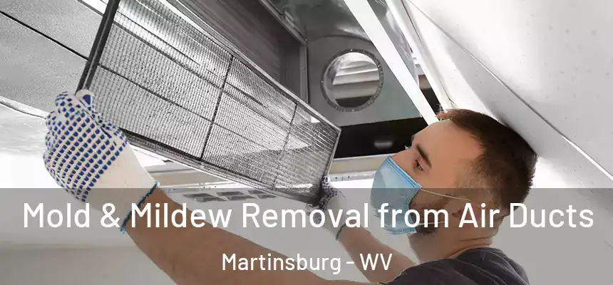  Mold & Mildew Removal from Air Ducts Martinsburg - WV