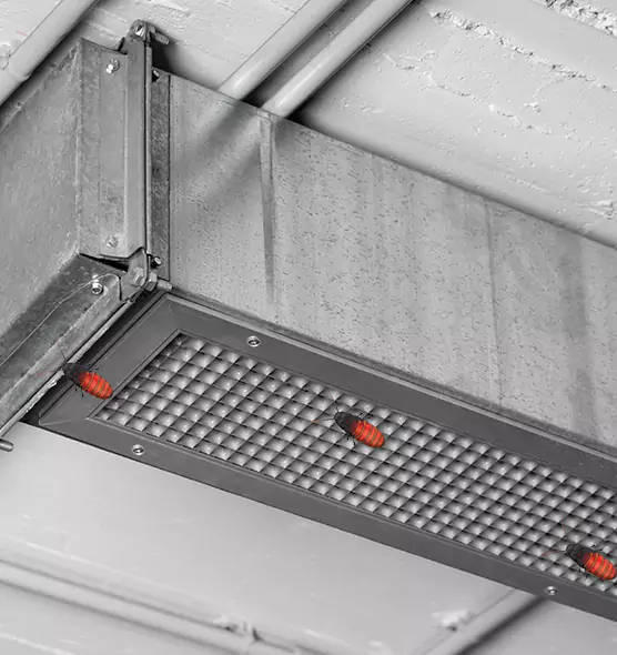 About Air Duct Cockroach Removal in Martinsburg, WV
