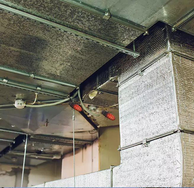 Why Homeowners & Businesses Trust Us in Martinsburg, WV?